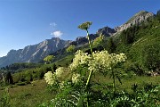 Anello Laghi di Porcile,Passo di Tartano, Cima-Passo di Lemma da Baita del Camoscio (28 giu.2020)- FOTOGALLERY